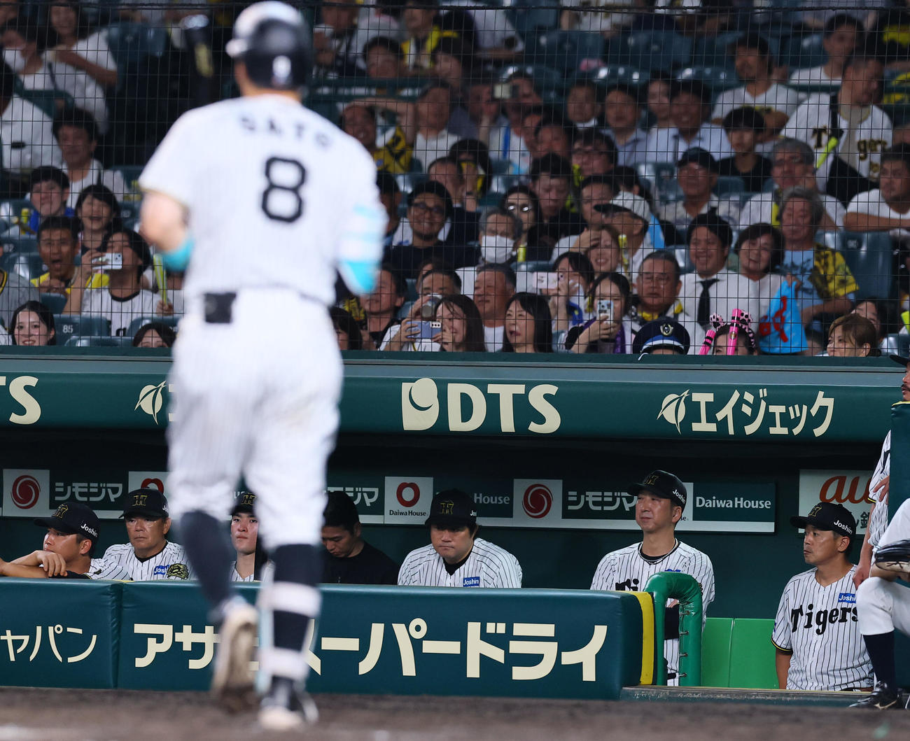 阪神対DeNA 9回裏阪神1死一、三塁、佐藤輝が三振に倒れ、ベンチから見つめる藤川監督（右から2人目）（撮影・藤尾明華）