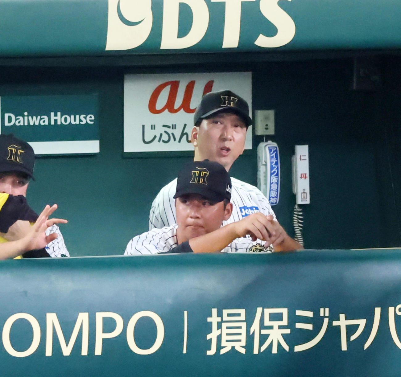 阪神対DeNA 3回裏を終えベンチからグラウンドを見る阪神藤川監督（撮影・加藤哉）