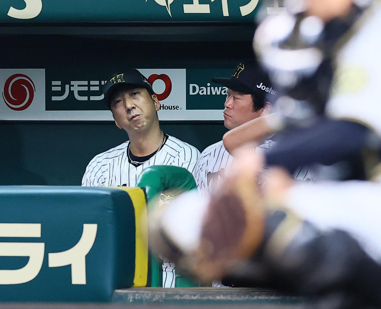阪神対DeNA 5回、ベンチの藤川監督（撮影・藤尾明華）