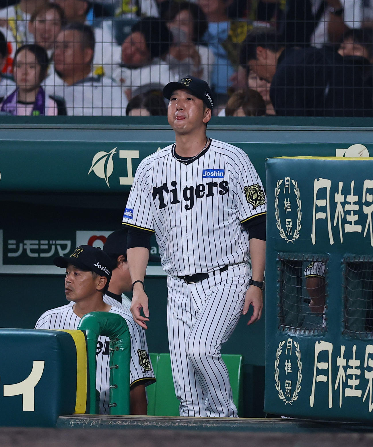 阪神対DeNA 8回、交代を告げるためベンチを出る阪神藤川監督（撮影・藤尾明華）