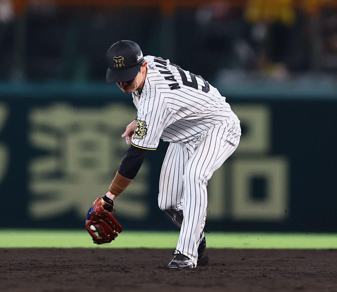 阪神対DeNA 7回表DeNA無死、山本祐大の二ゴロで好守を見せる中野（撮影・藤尾明華）