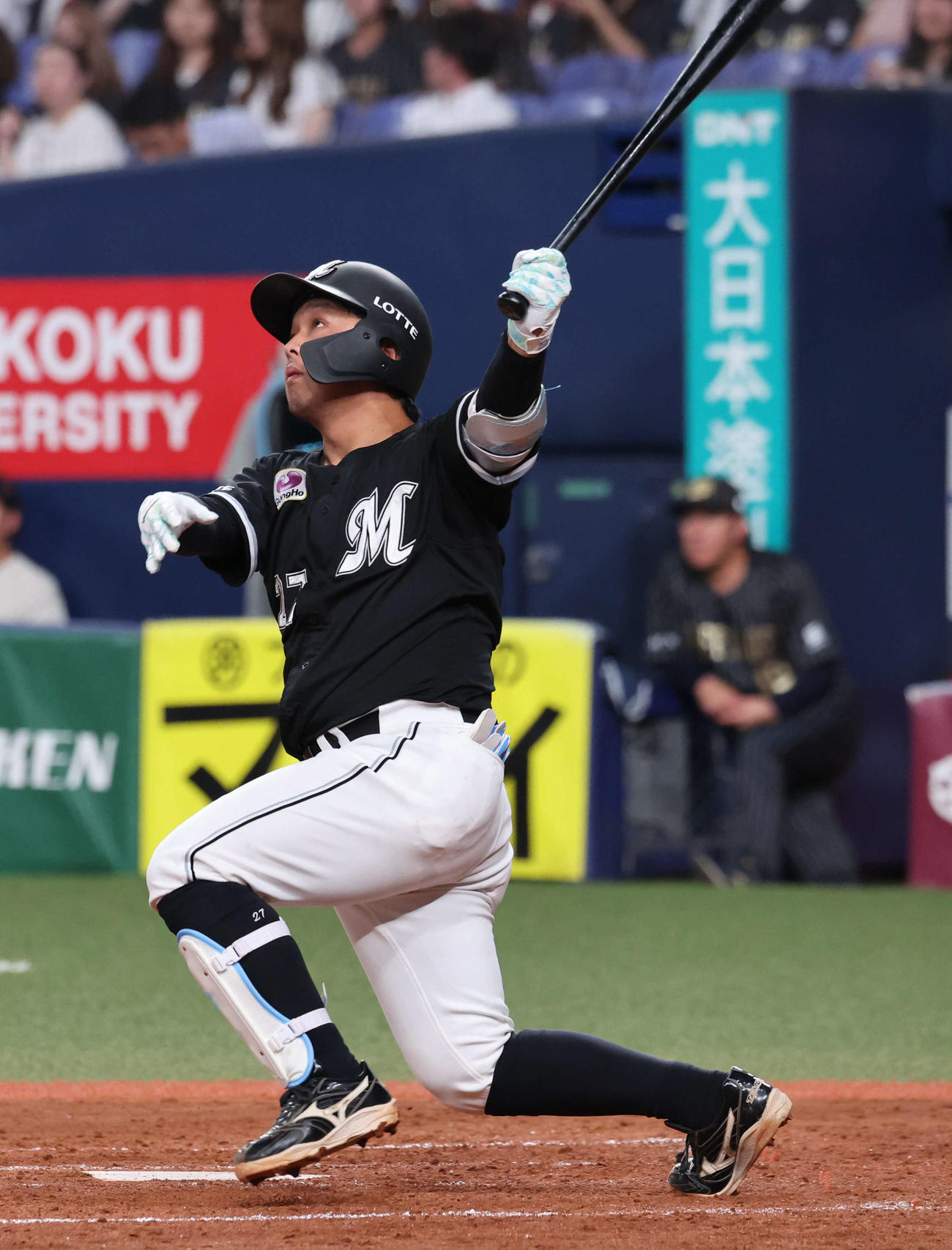 ロッテ田村龍弘（2025年8月26日撮影）