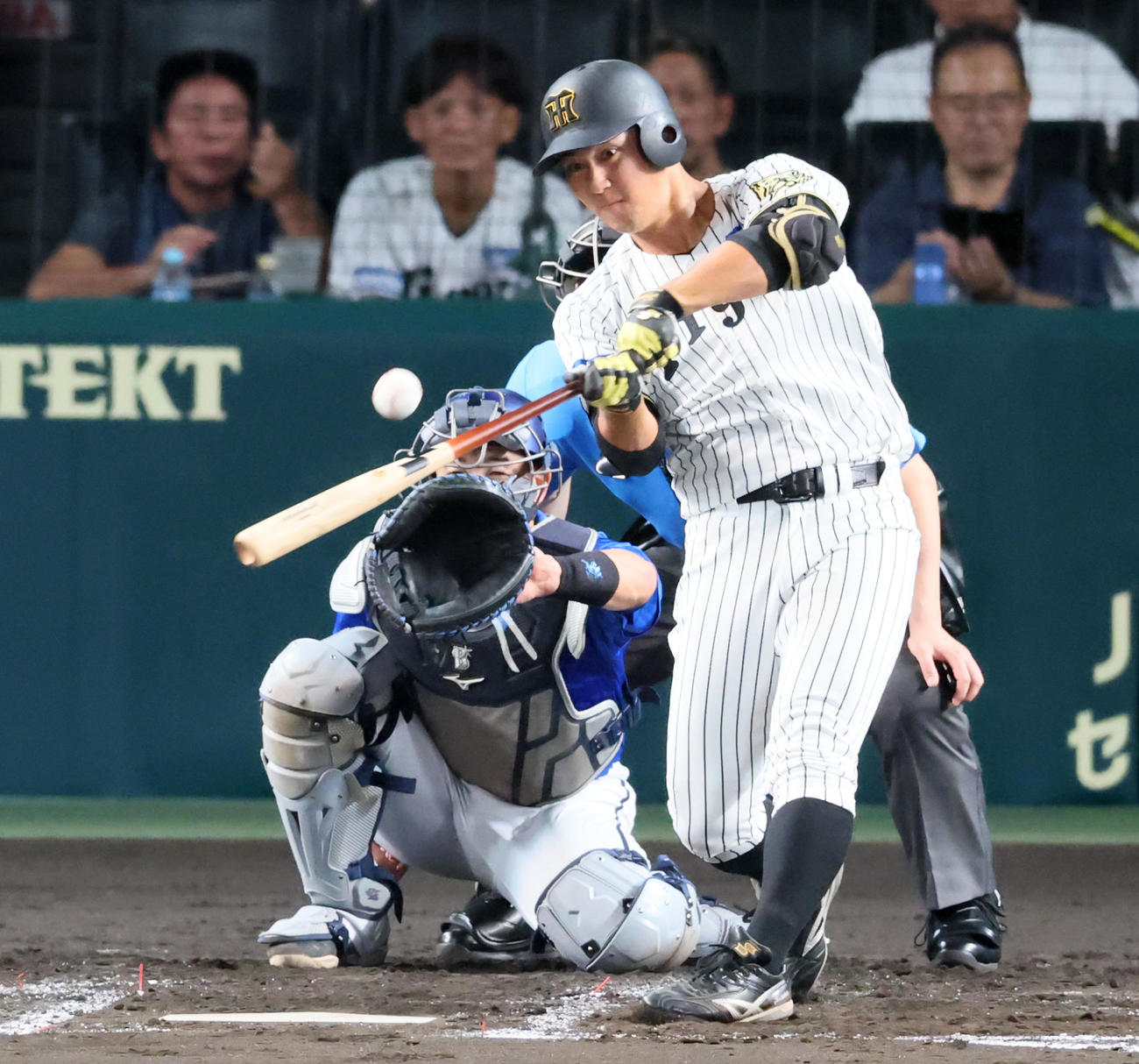 阪神対DeNA 2回裏阪神1死、井坪は左前打を放つ（撮影・加藤哉）