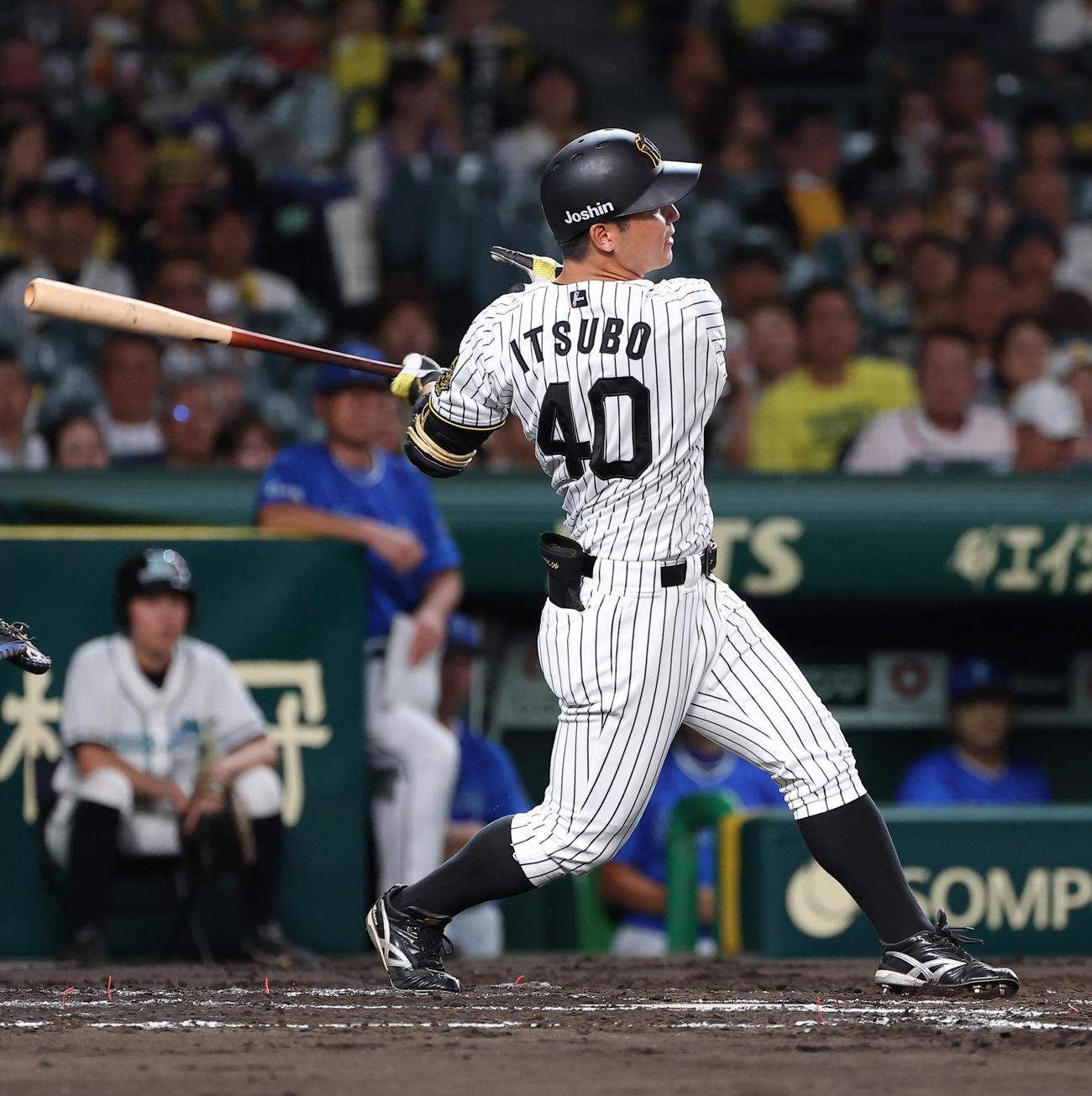 阪神対DeNA 2回裏阪神1死、井坪は左前打を放つ（撮影・上田博志）