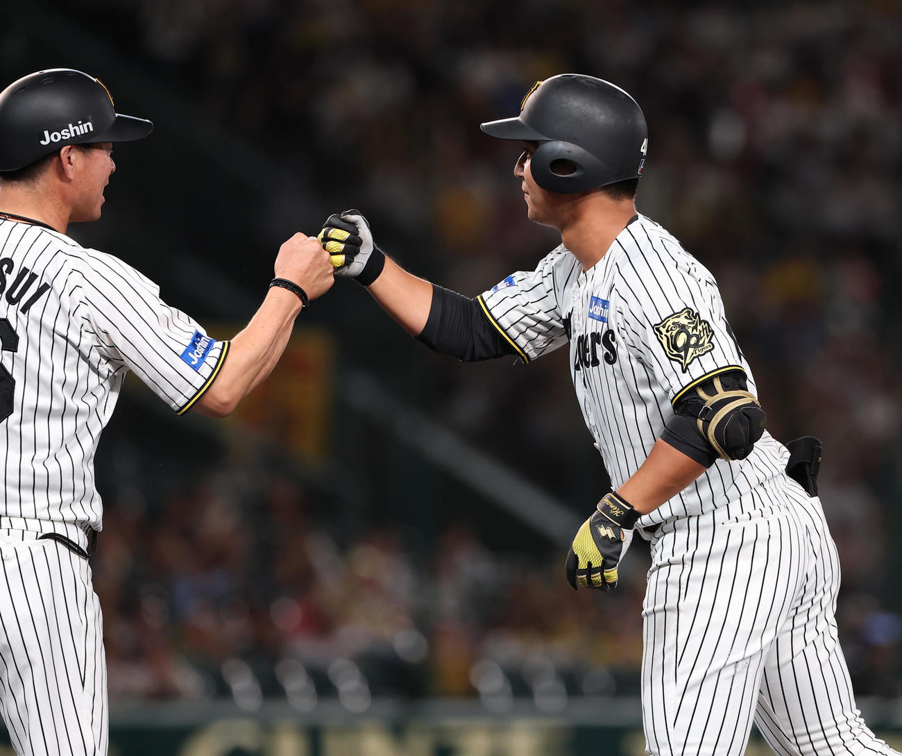 阪神対DeNA 2回裏阪神1死、井坪は左前打を放つ（撮影・上田博志）