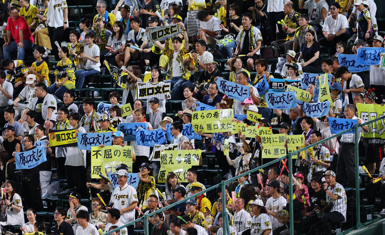 阪神対DeNA 9回裏阪神無死、原口を応援するファン（撮影・藤尾明華）