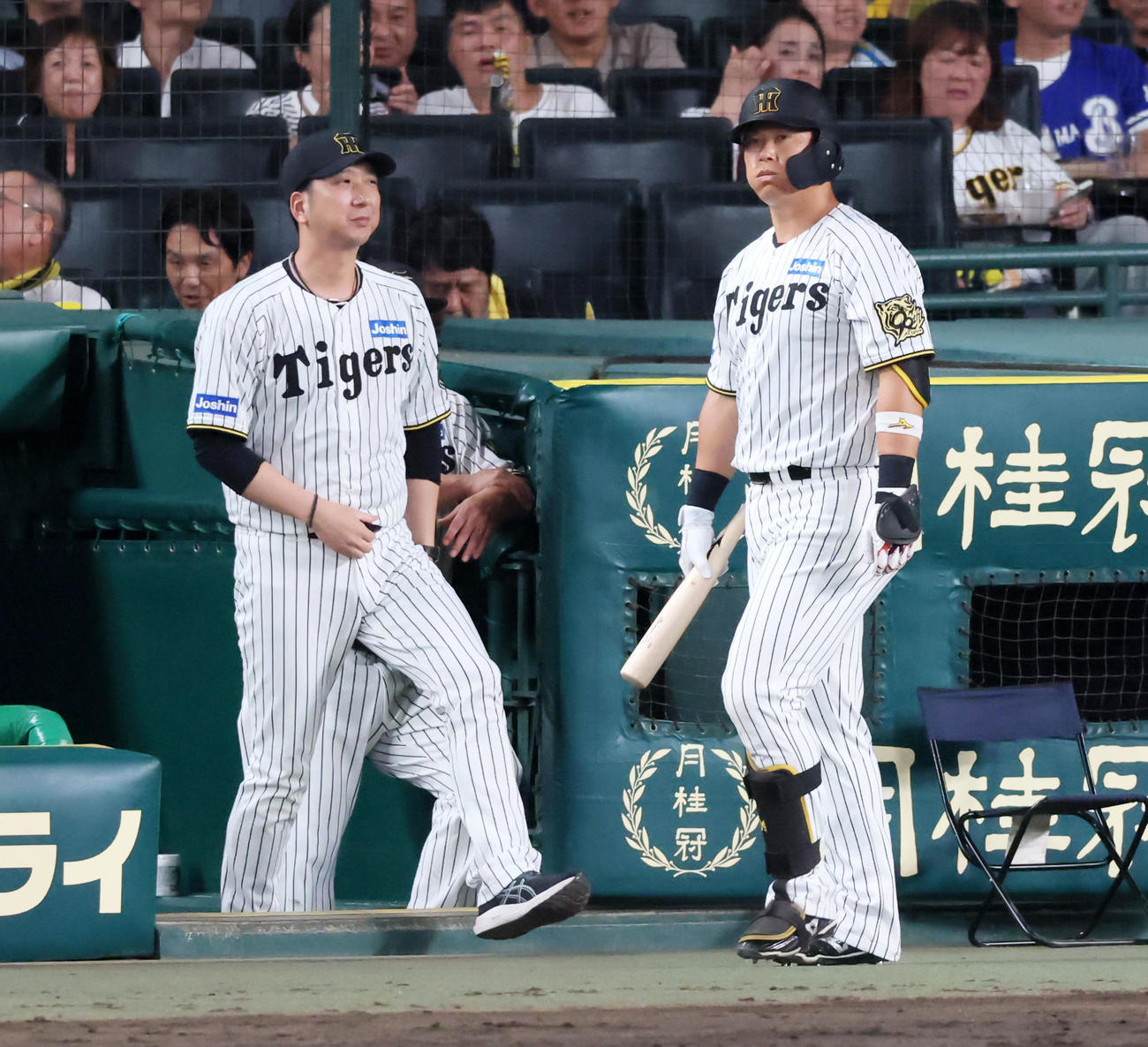 阪神対DeNA 8回裏阪神2死、代打として準備していた原口は打順が回らずベンチへ引き揚げる。左は藤川監督（撮影・加藤哉）