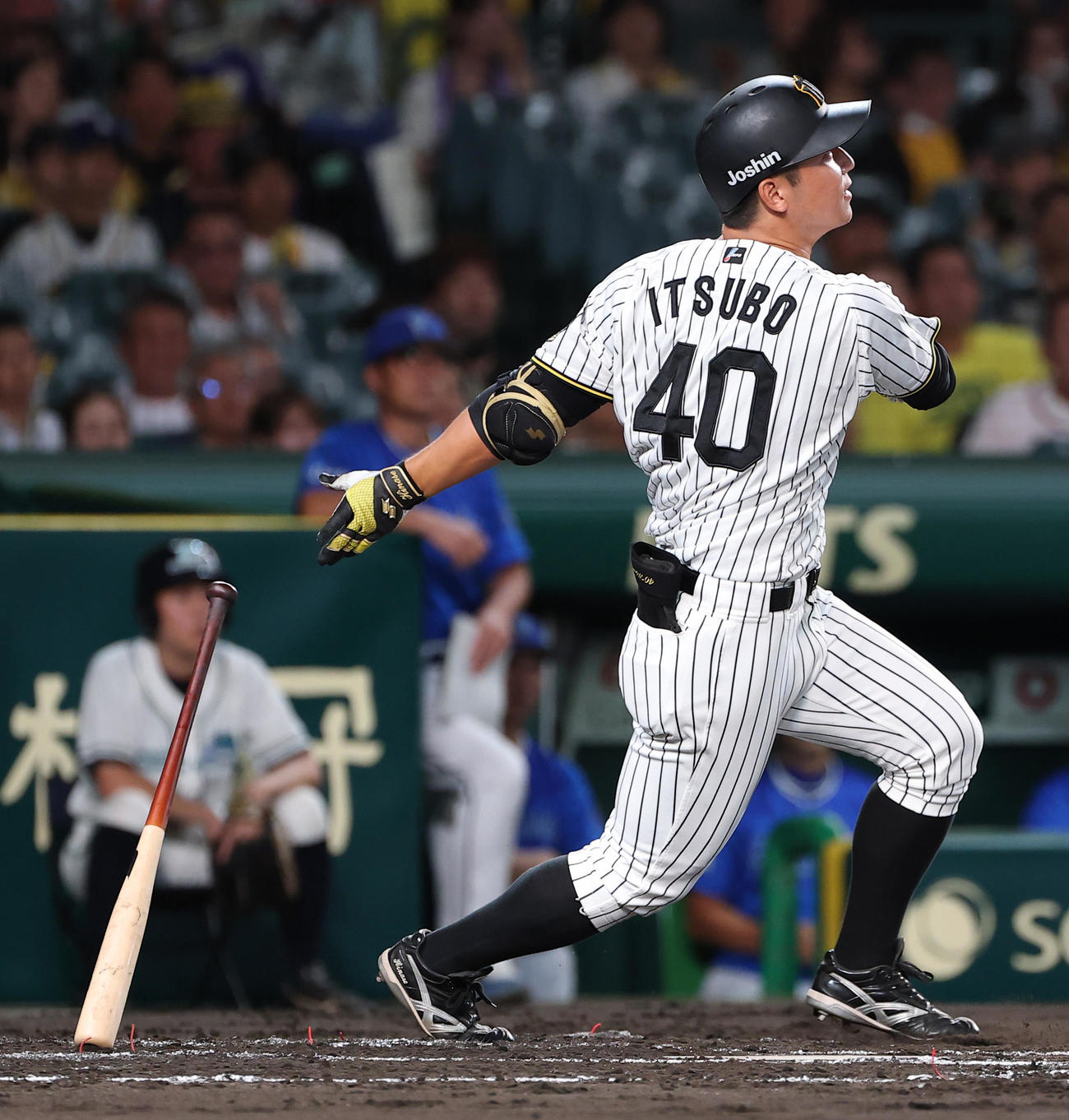 阪神対DeNA 2回裏阪神1死、井坪は左前打を放つ（撮影・上田博志）