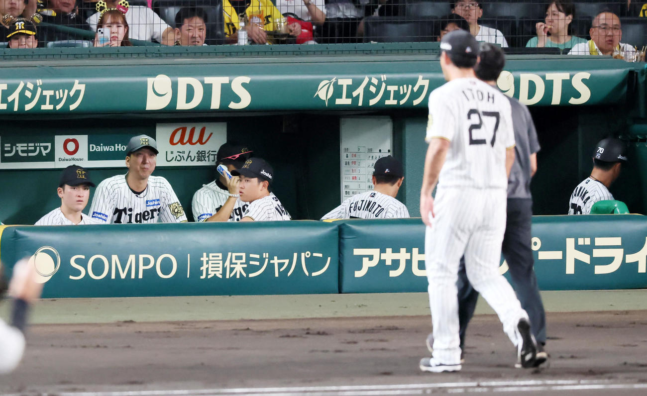 阪神対DeNA 2回表DeNA1死、佐野の投直を捕球しいったんベンチへ引き揚げる伊藤将を見守る藤川監督（左）（撮影・加藤哉）