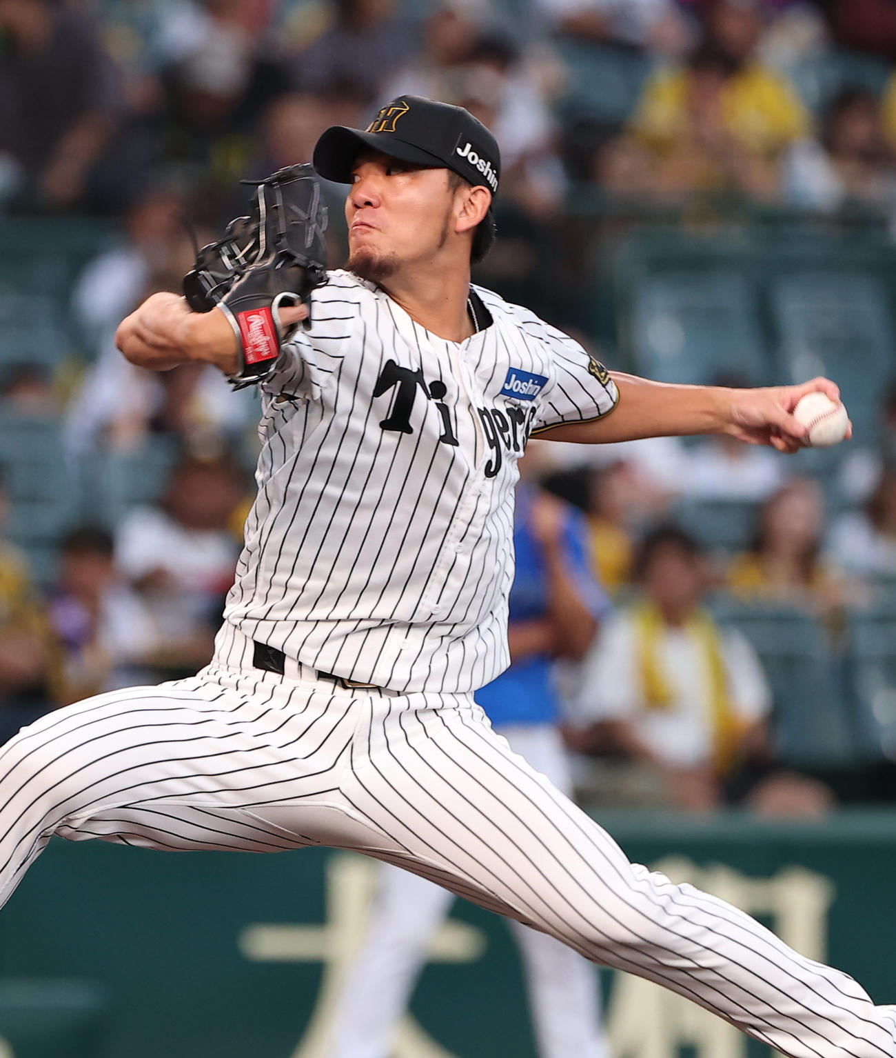 阪神対DeNA　阪神先発の伊藤将（撮影・上田博志）