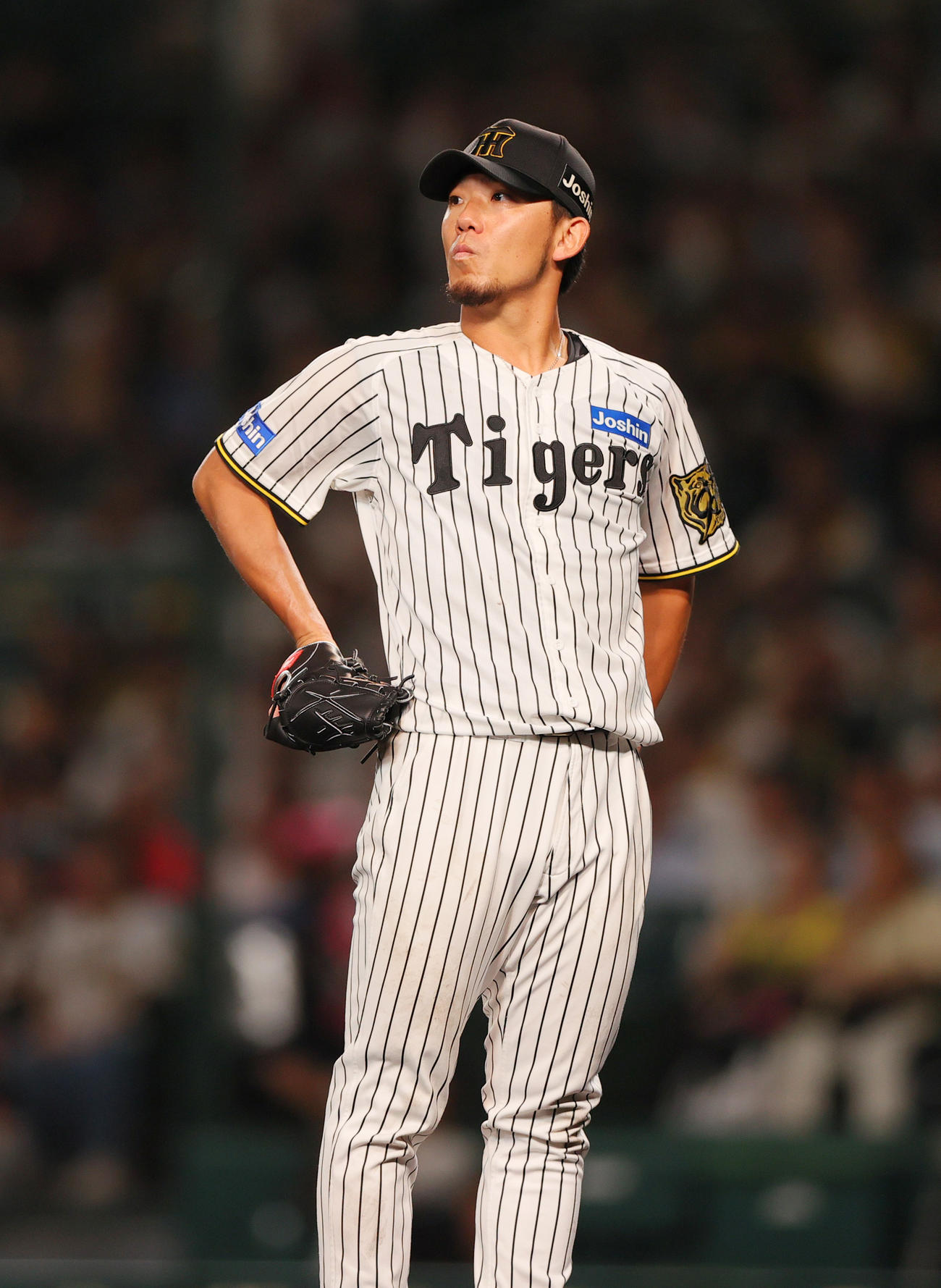 阪神対DeNA 4回表DeNA無死一、二塁、筒香に左越え3点本塁打を浴びる伊藤将（撮影・上山淳一）