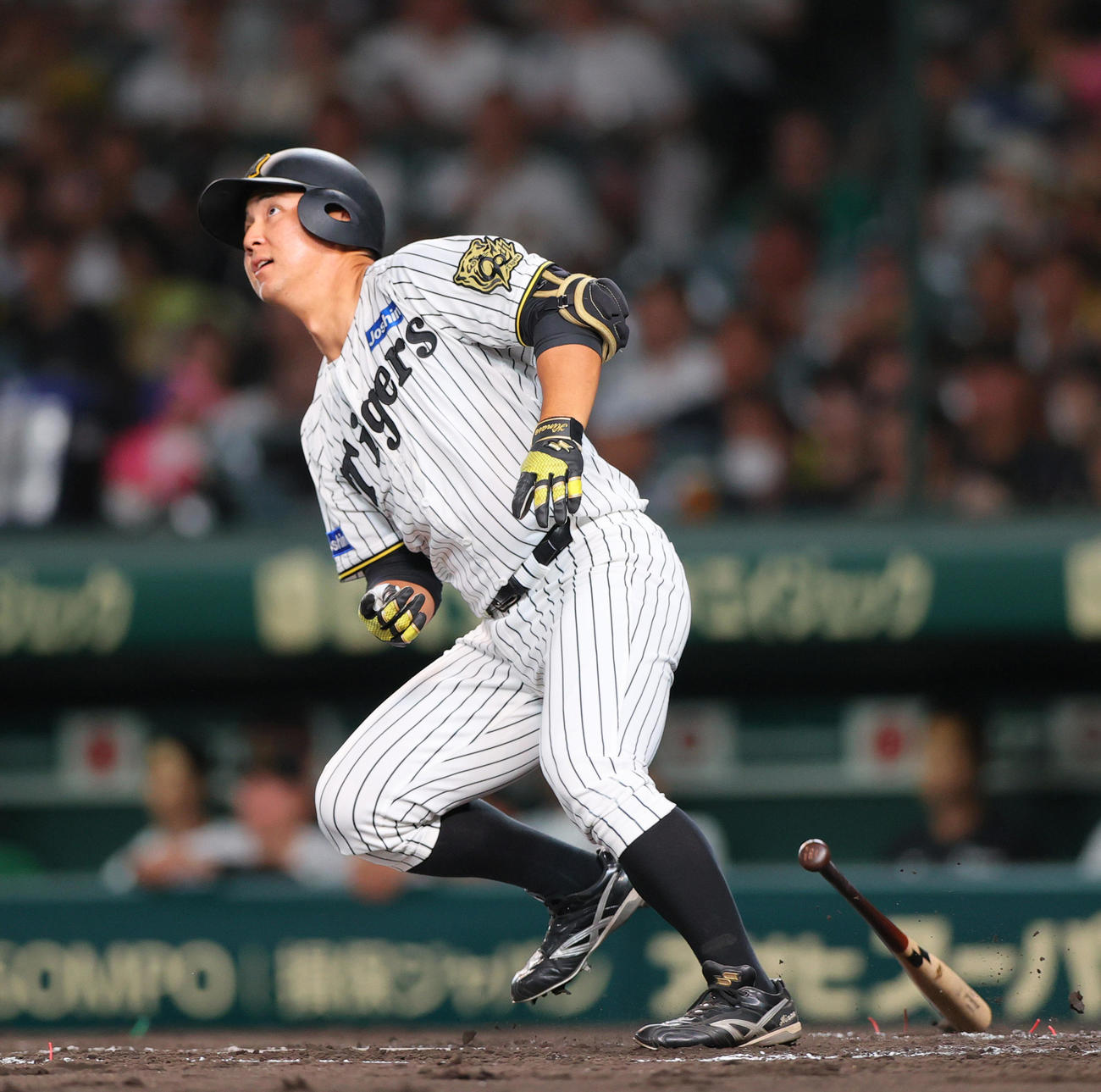 阪神対DeNA 2回裏阪神1死、井坪は左前打を放つ（撮影・上山淳一）