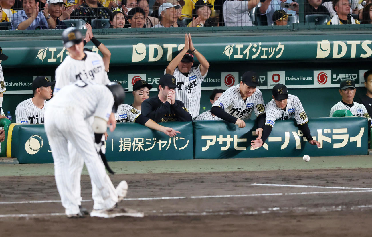 阪神対DeNA 9回裏阪神2死、楠本の初安打となる左前打のボールをベンチで受け取る大山。右は植田（撮影・加藤哉）