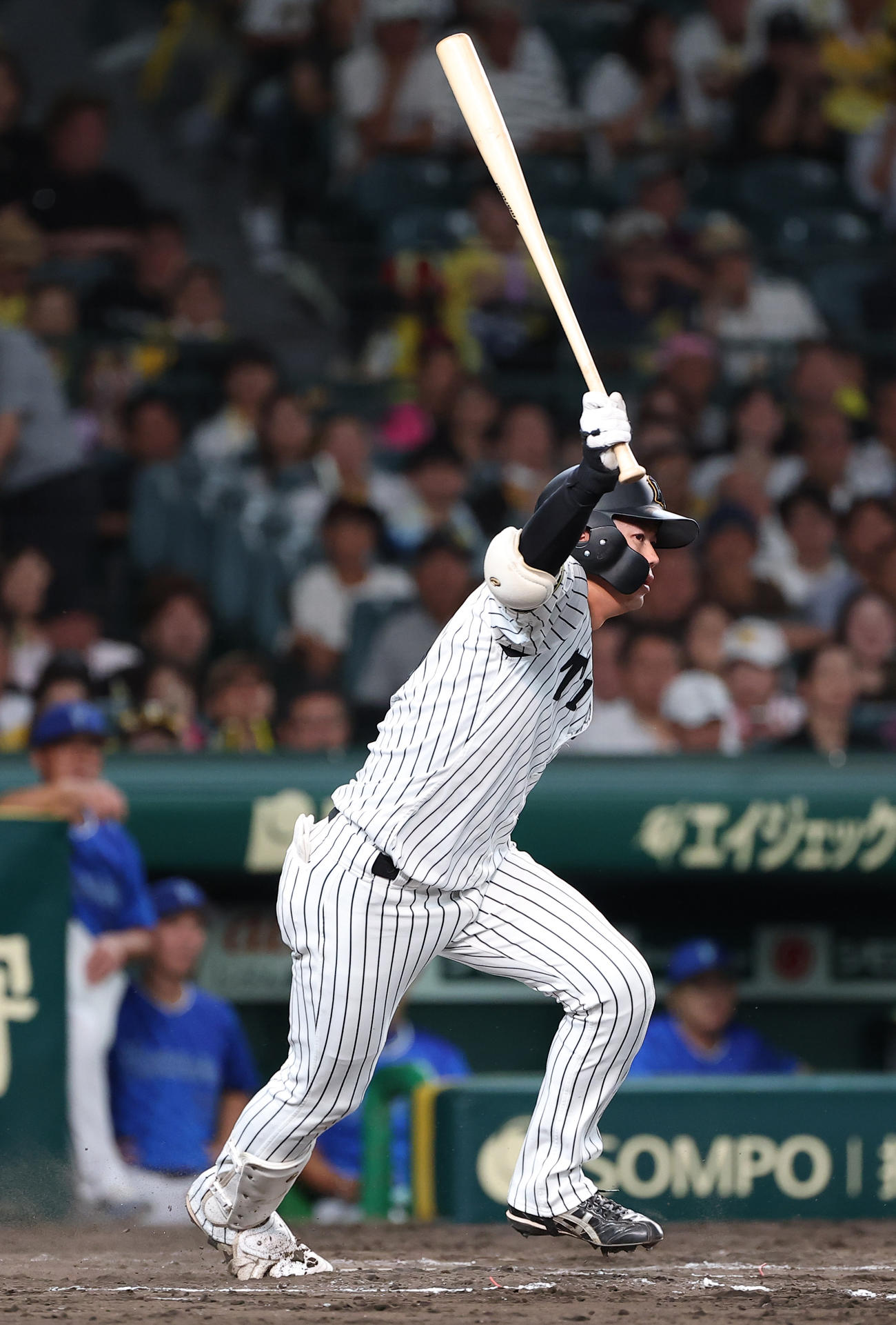 阪神対DeNA 7回裏阪神無死、楠本は一ゴロに倒れる（撮影・上田博志）