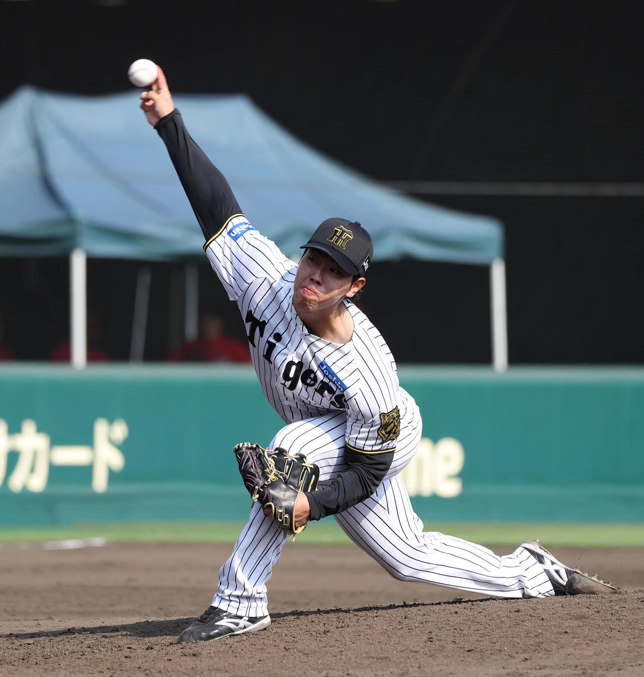 阪神工藤泰成（2025年8月24日撮影）