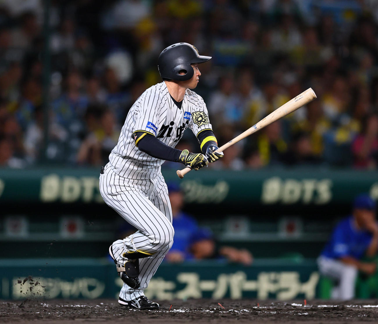 阪神対DeNA 4回裏阪神無死、近本は左前打を放つ（撮影・藤尾明華）