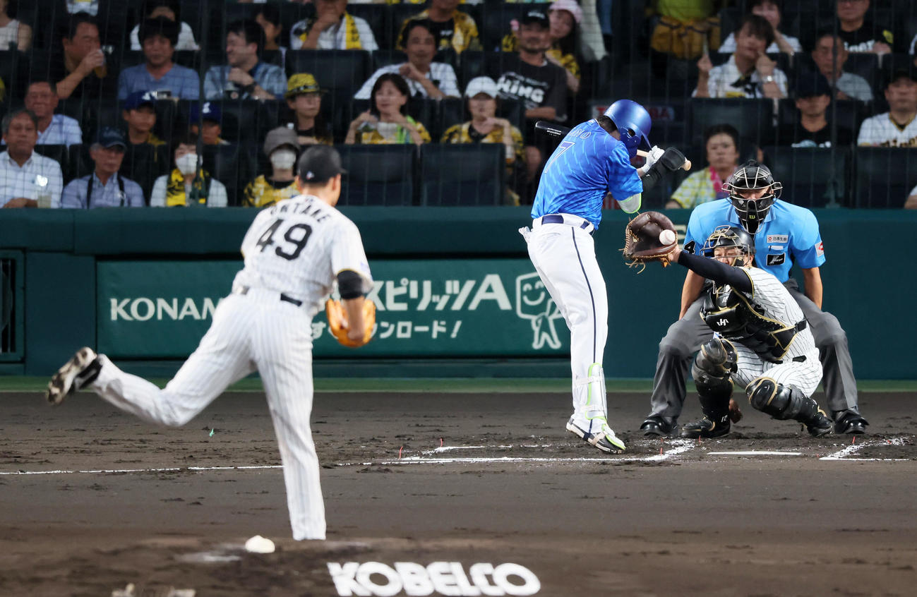 阪神対DeNA 2回表DeNA1死、佐野は死球を受ける。投手大竹（撮影・加藤哉）