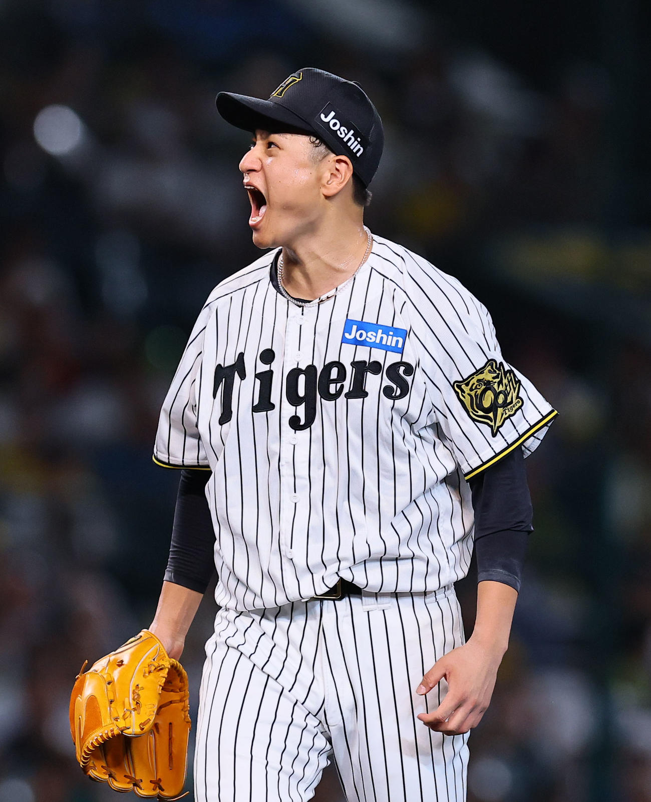 阪神対DeNA 6回表DeNA2死一、二塁、桑原を三振に仕留め雄たけびをあげる大竹（撮影・藤尾明華）