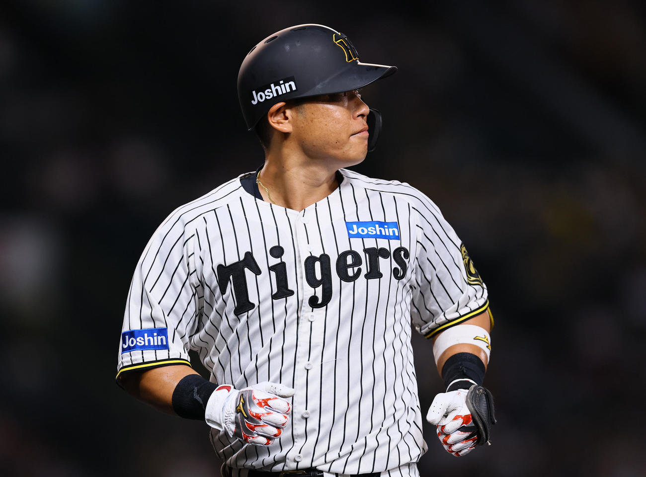 阪神対DeNA 2回裏阪神1死、左飛に倒れた原口（撮影・藤尾明華）