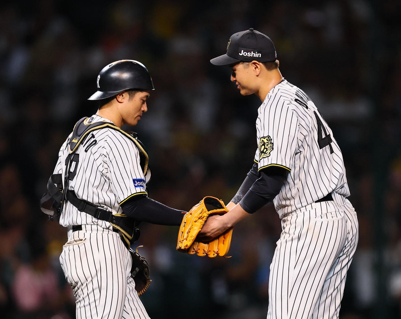 阪神対DeNA　完封勝利を飾り、坂本（左）と握手を交わす阪神大竹（撮影・藤尾明華）