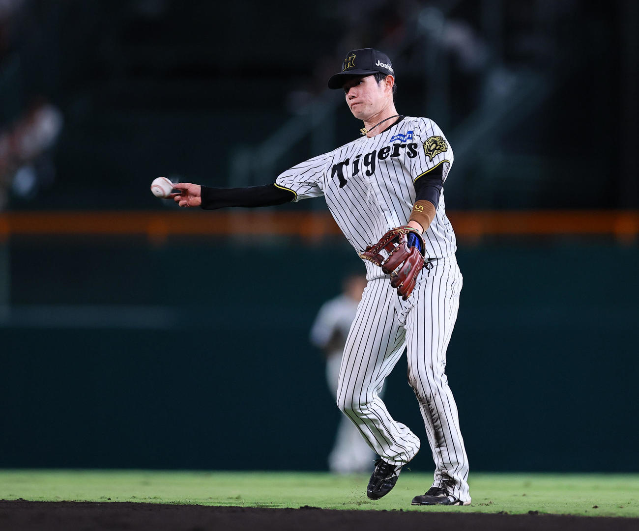 阪神対DeNA 7回表DeNA1死、ビシエドの二ゴロで好守を見せる中野（撮影・藤尾明華）