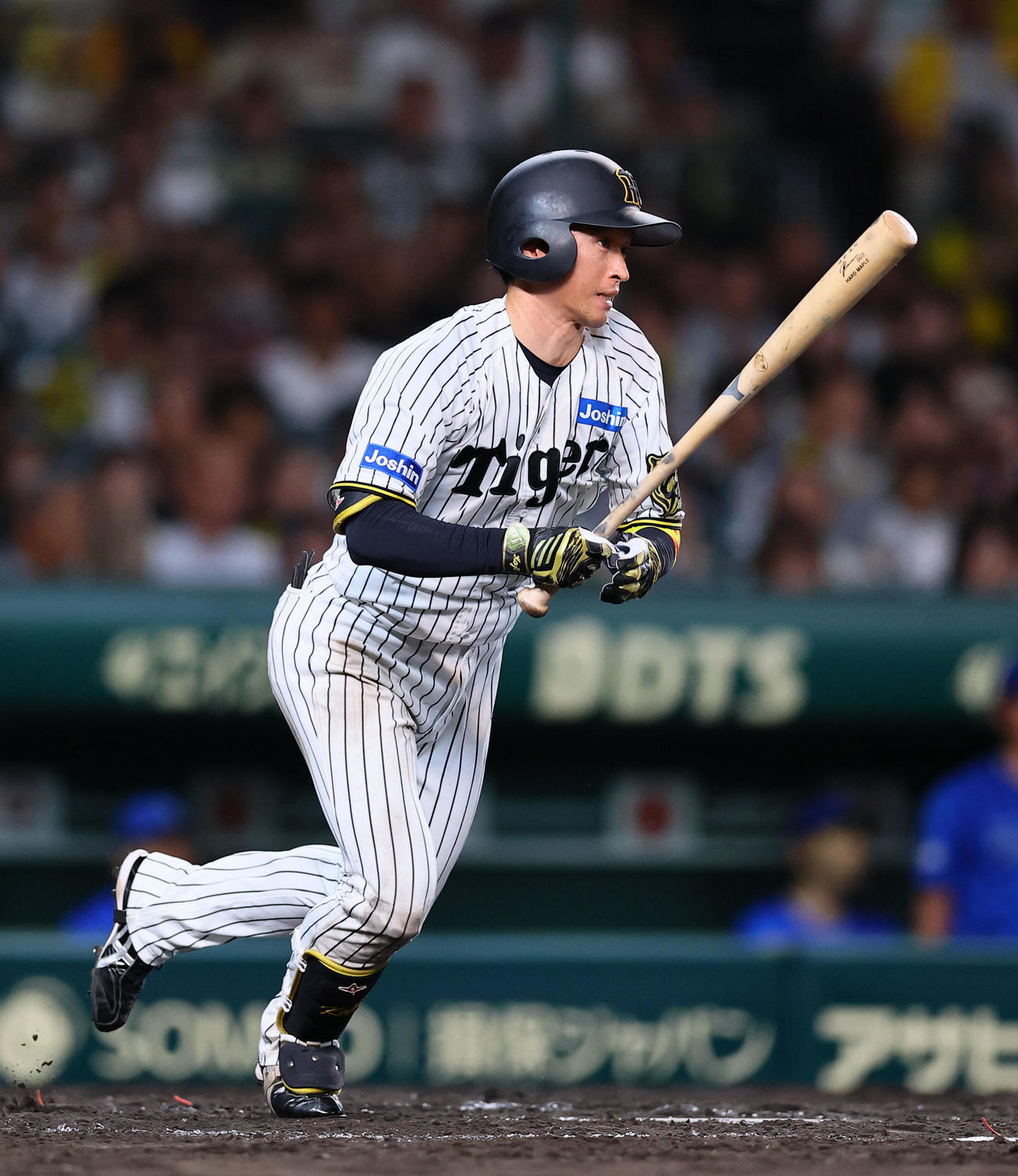 阪神対DeNA 8回裏阪神2死、近本は右前打を放つ（撮影・藤尾明華）