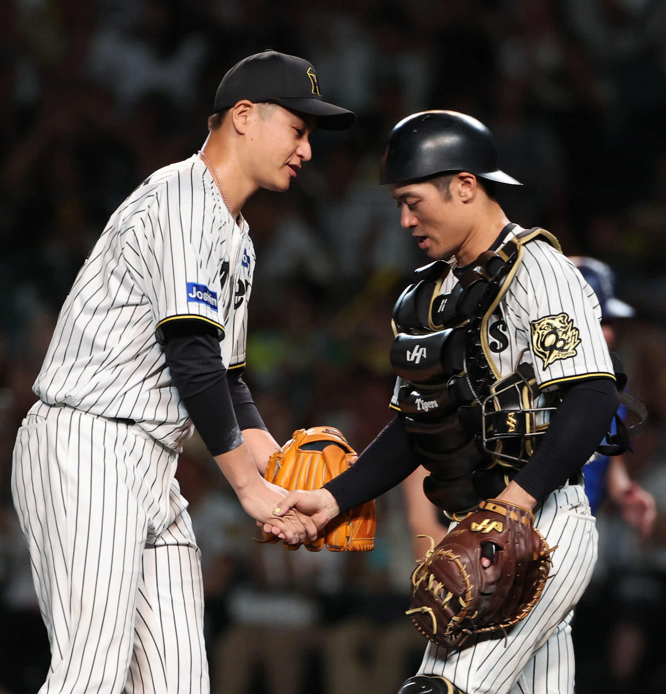 阪神対DeNA　完封勝利を挙げた阪神大竹（左）は坂本と握手をかわす（撮影・西尾就之）