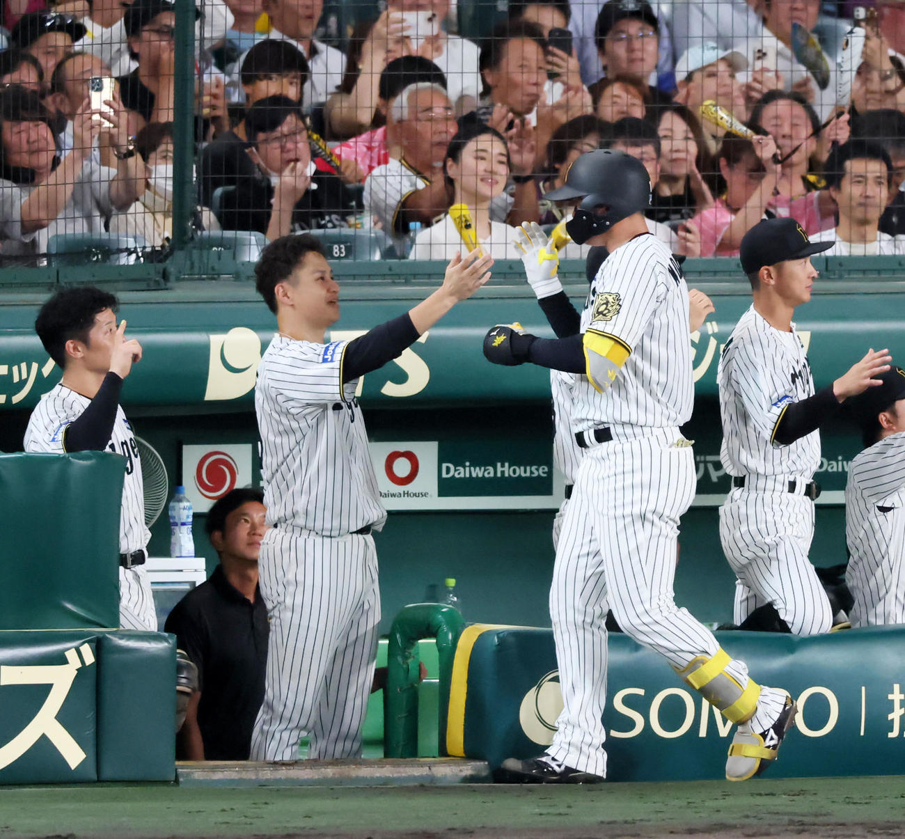 阪神対DeNA 4回裏阪神1死二塁、森下は左越え2点本塁打を放ちベンチの大竹（左）とタッチする（撮影・加藤哉）