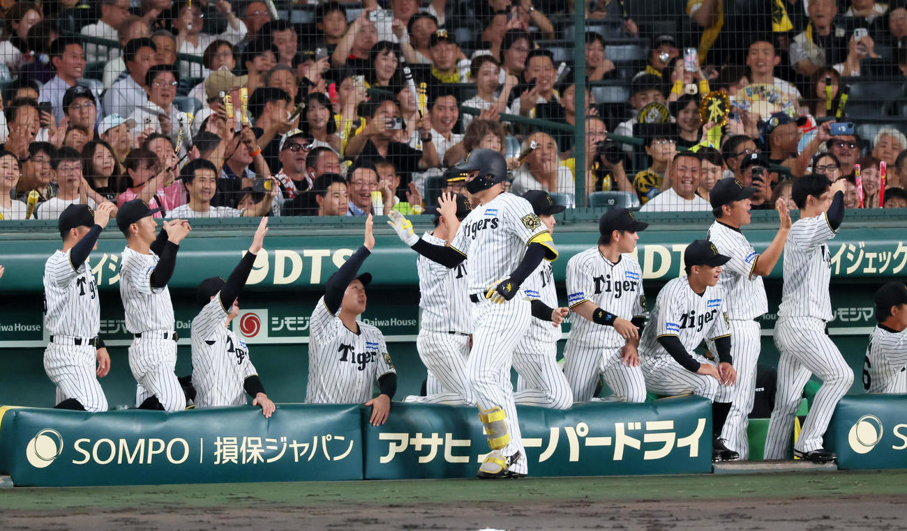 阪神対DeNA 4回裏阪神1死二塁、森下は左越え2点本塁打を放ちベンチのナインとタッチする（撮影・加藤哉）
