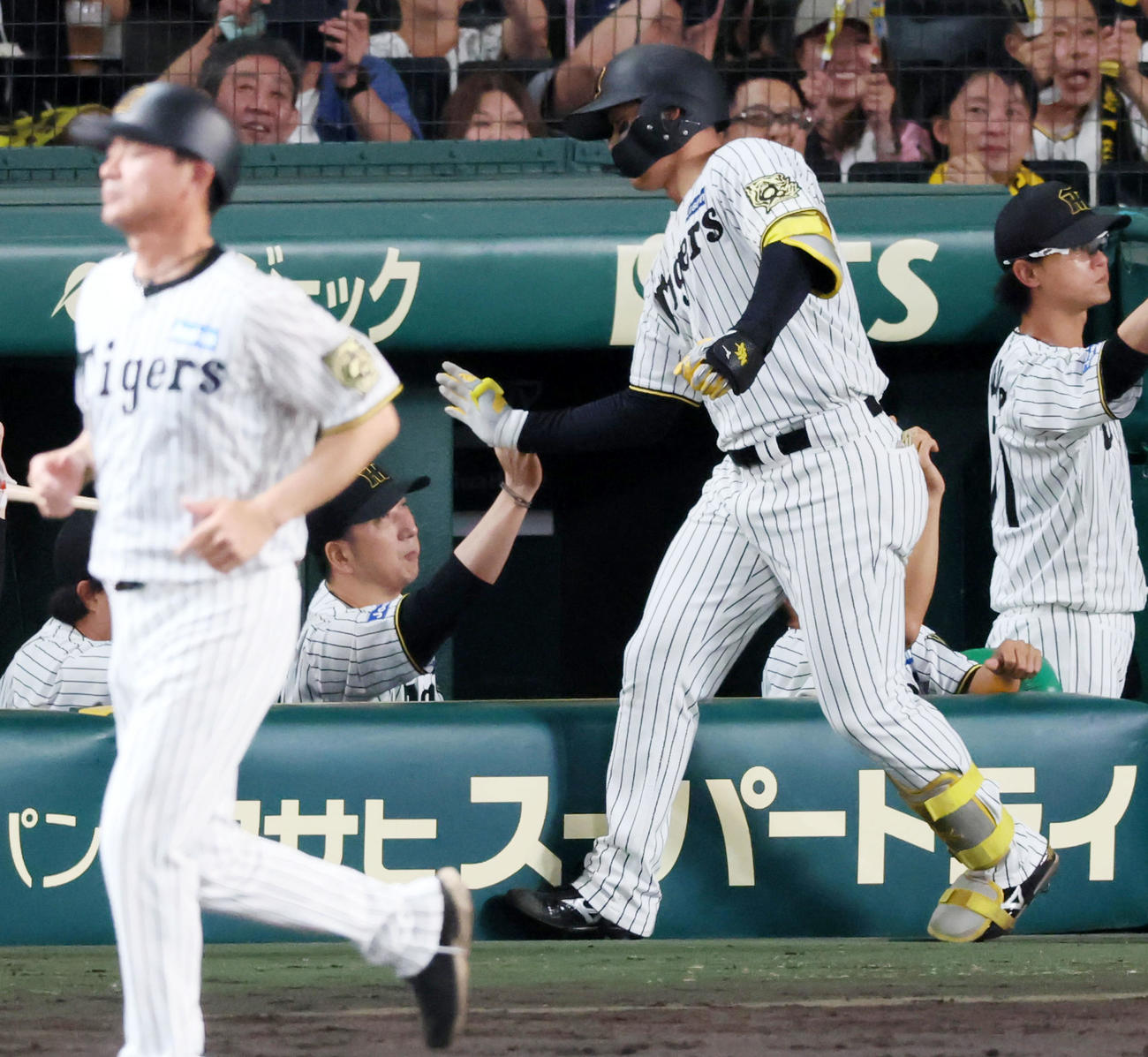 阪神対DeNA 4回裏阪神1死二塁、森下は左越え2点本塁打を放ちベンチの藤川監督（左）とタッチする（撮影・加藤哉）