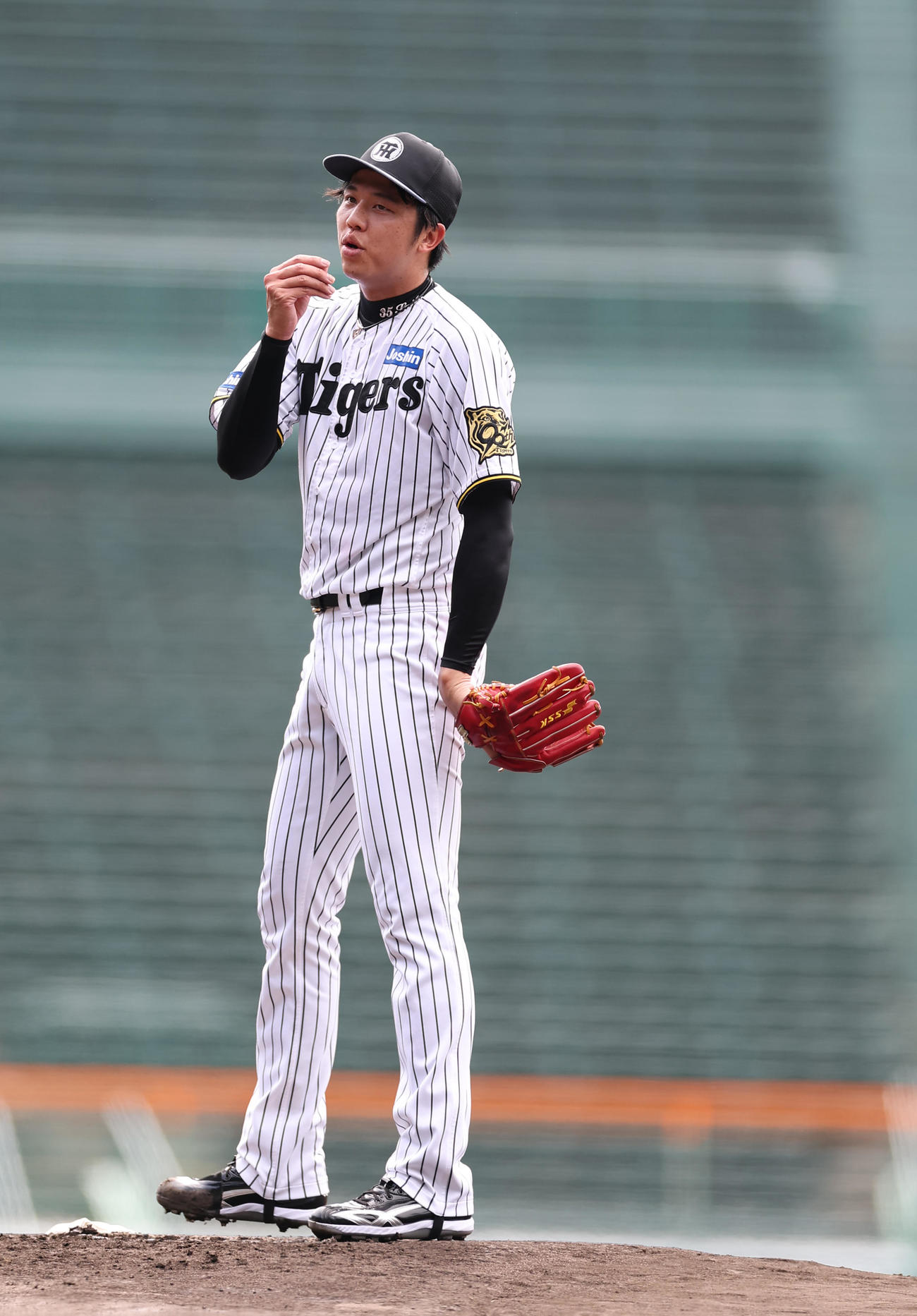 甲子園球場のマウンドで投球練習をする才木（撮影・上田博志）