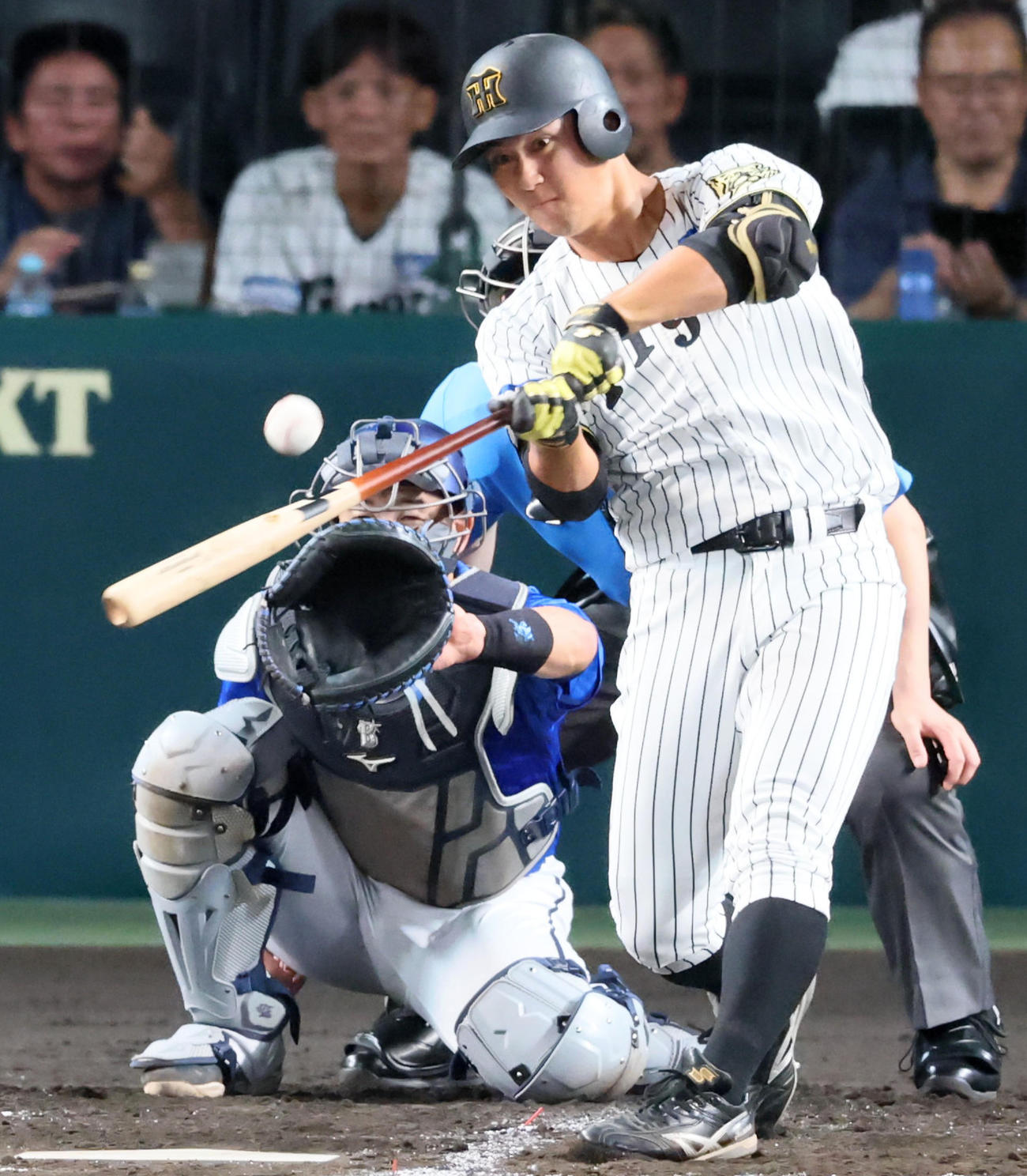 2025年9月10日、1軍で左前打を放った井坪陽生