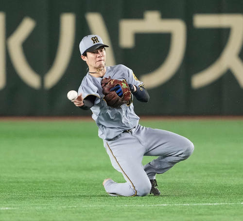 データ】阪神今季130試合目で初2ケタ失点 球団4度目のシーズンゼロ