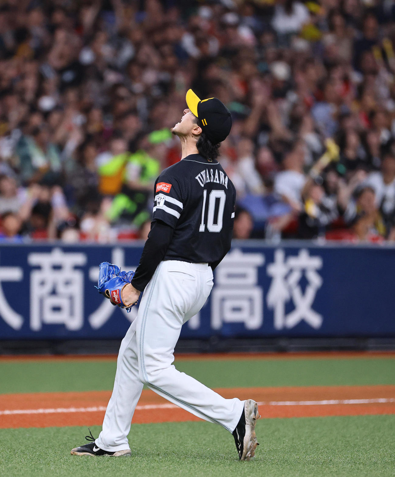 オリックス対ソフトバンク　6回裏オリックス2死一、三塁、杉本を三ゴロに打ち取り雄たけびを上げる上沢（撮影・藤尾明華）