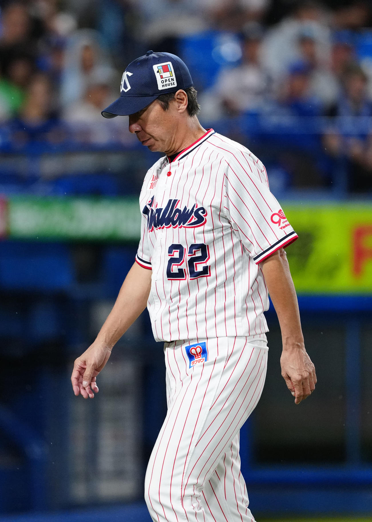 ヤクルト対DeNA 6回表途中、ヤクルト先発山野の降板を告げベンチに引き揚げる高津監督（撮影・江口和貴）