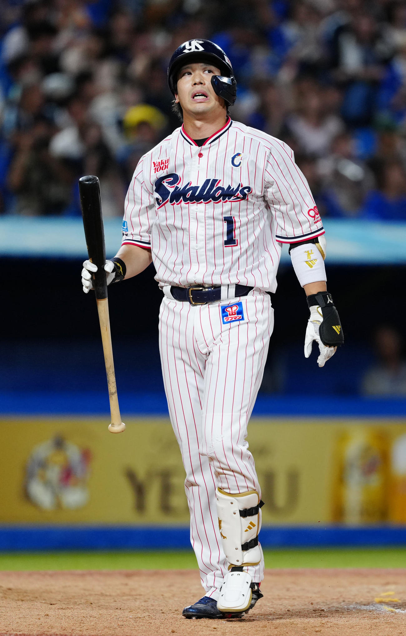 ヤクルト対DeNA 9回裏ヤクルト1死一塁、見逃しの三振に倒れた代打山田（撮影・江口和貴）