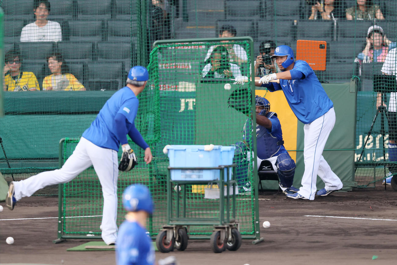 阪神対中日　まずバントから打撃練習を行った中日中田（撮影・加藤哉）