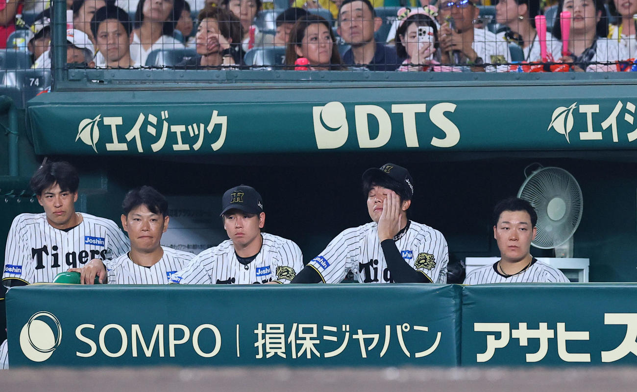 阪神対中日　8回、ベンチで渋い表情を見せる阪神才木（右から2人目）（撮影・藤尾明華）