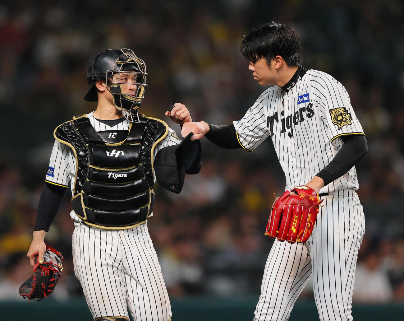 阪神対中日　6回を投げ終えベンチへ引き揚げる阪神先発の才木（右）と捕手坂本（撮影・上山淳一）