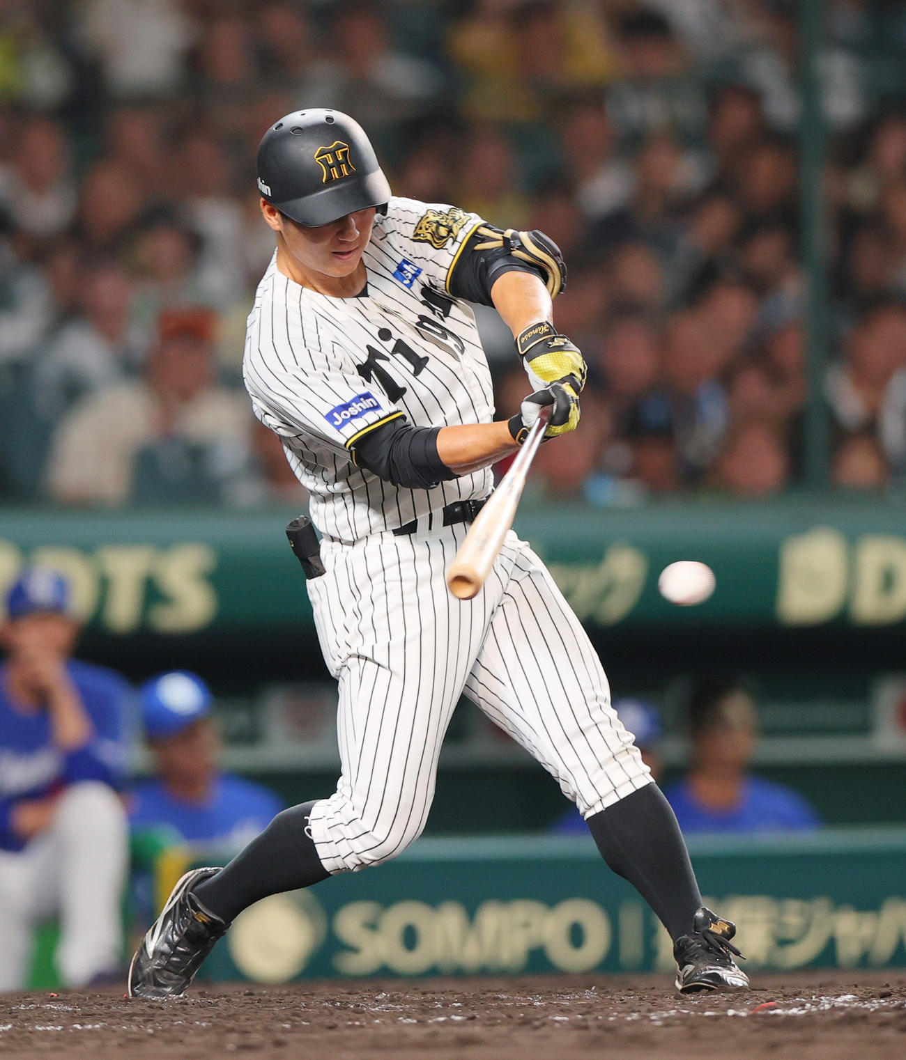 阪神対中日　5回裏阪神1死、中前打を放つ井坪（撮影・上山淳一）