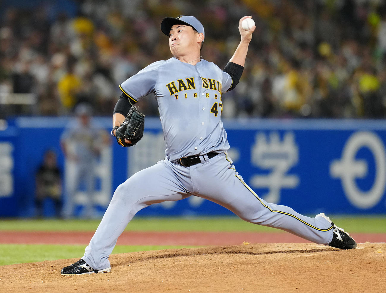 阪神桐敷拓馬（2025年8月23日撮影）