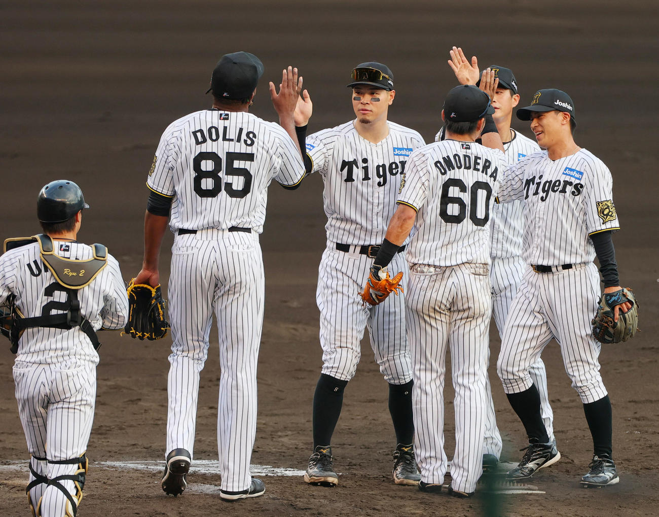 阪神対中日　中日に勝利し、タッチをかわす阪神ナイン（撮影・上山淳一）