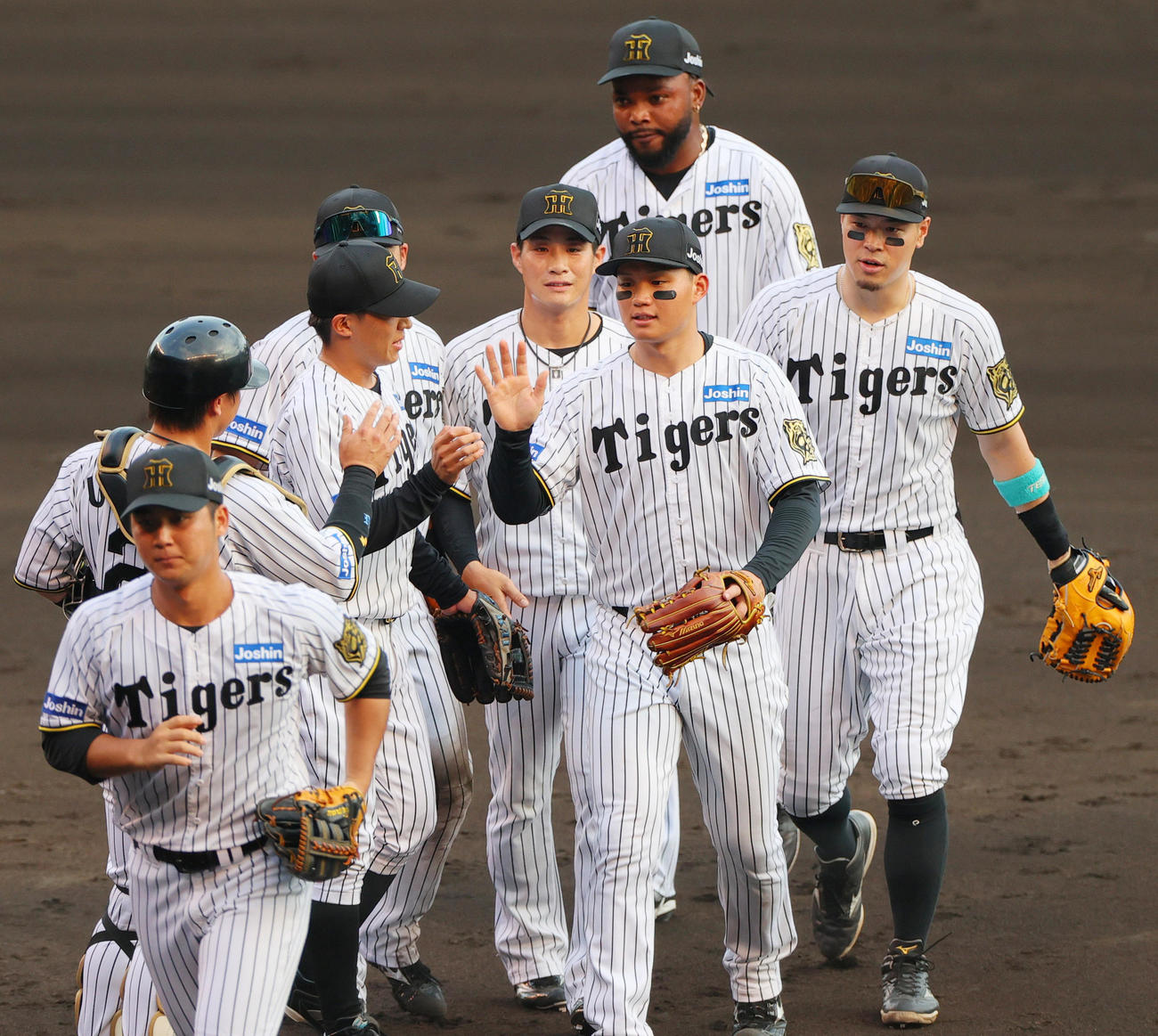 阪神対中日　中日に勝利し、タッチをかわす阪神ナイン（撮影・上山淳一）