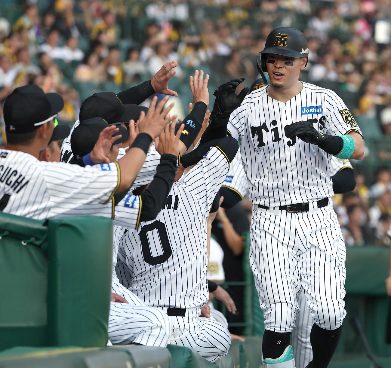 阪神対中日　5回裏阪神2死一塁、2点本塁打を放った佐藤輝はナインとハイタッチをする（撮影・上田博志）
