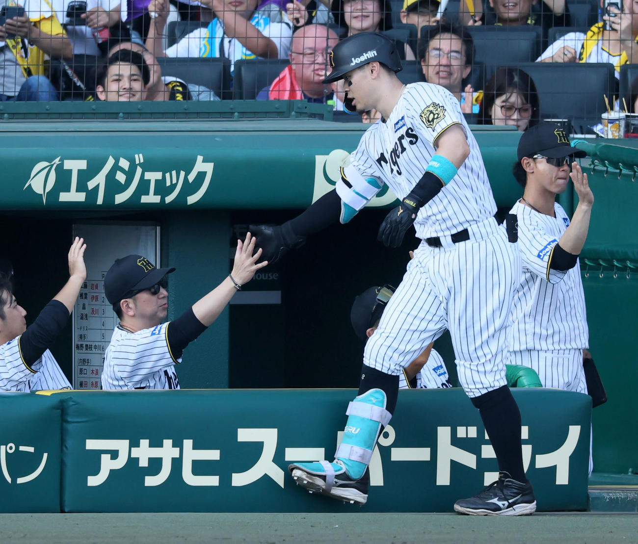 阪神対中日　5回裏阪神2死一塁、佐藤輝は左越え2点本塁打を放ちベンチの藤川監督（左）とタッチする（撮影・加藤哉）
