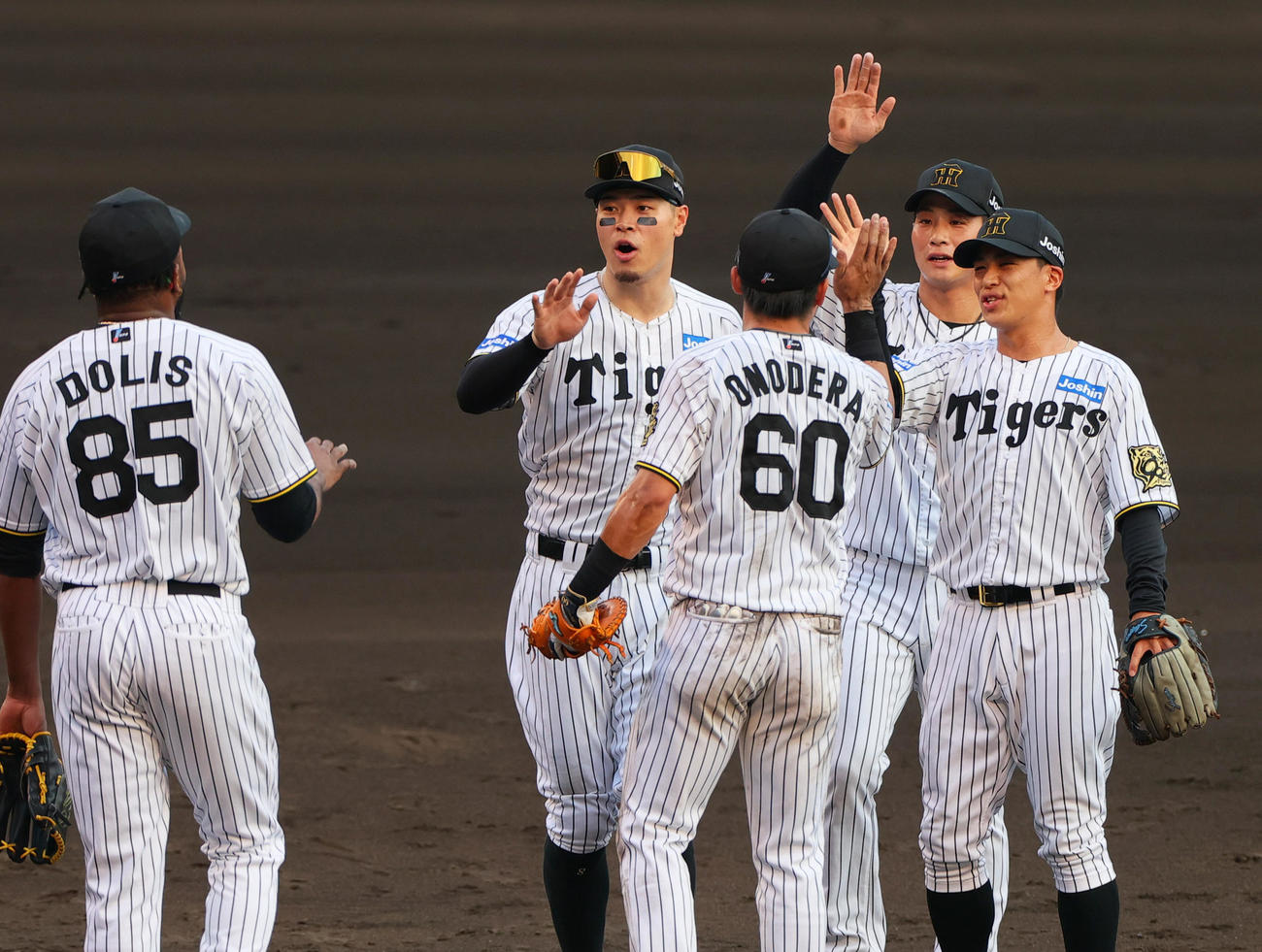阪神対中日　中日に勝利し、タッチをかわす阪神ナイン（撮影・上山淳一）