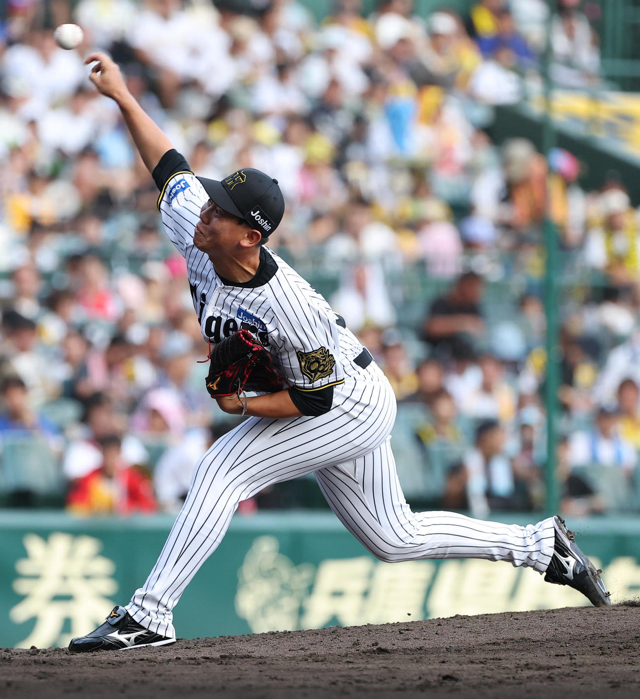 阪神3番手の畠（撮影・上田博志）