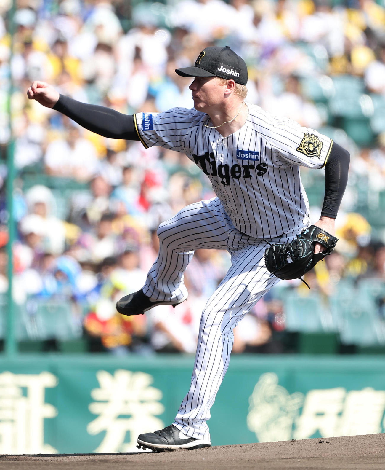 阪神対中日　阪神先発のネルソン（撮影・上田博志）
