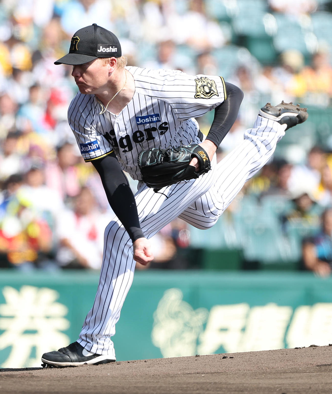 阪神対中日　阪神先発のネルソン（撮影・上田博志）