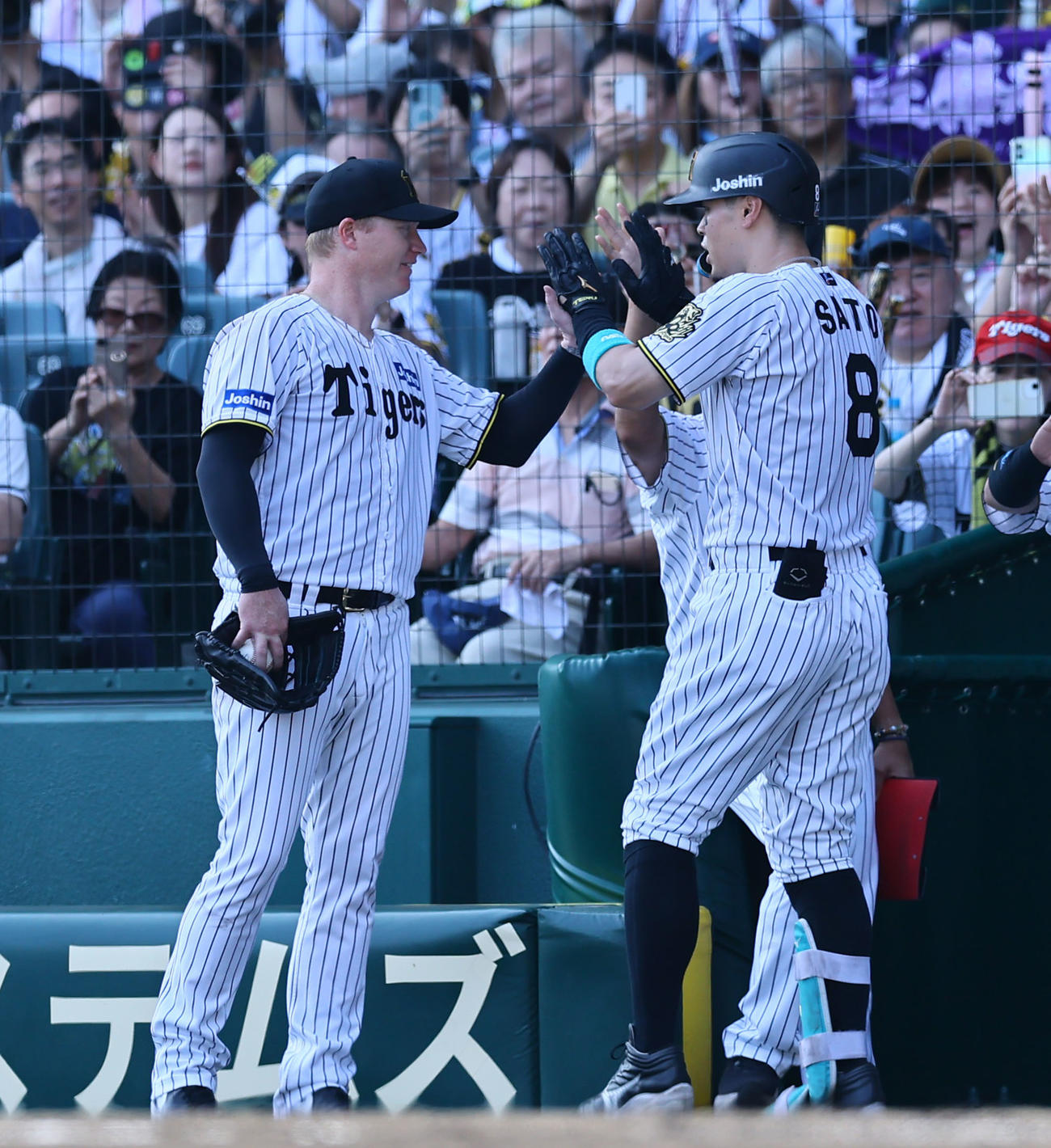 阪神対中日　3回裏阪神1死一塁、2点本塁打を放った佐藤輝を出迎えるネルソン（左）（撮影・藤尾明華）